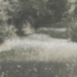 Meet your Posher, Mela